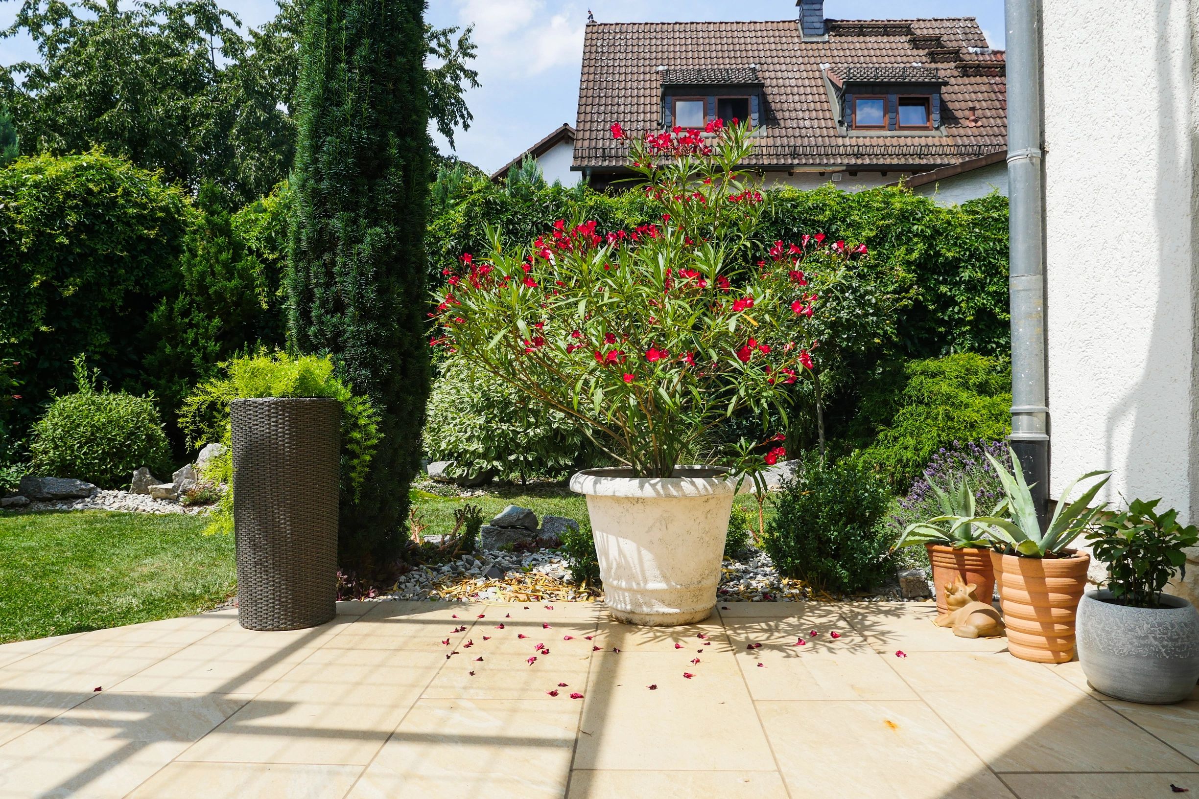 Garden-inspired DIY project setting with lush summer greenery