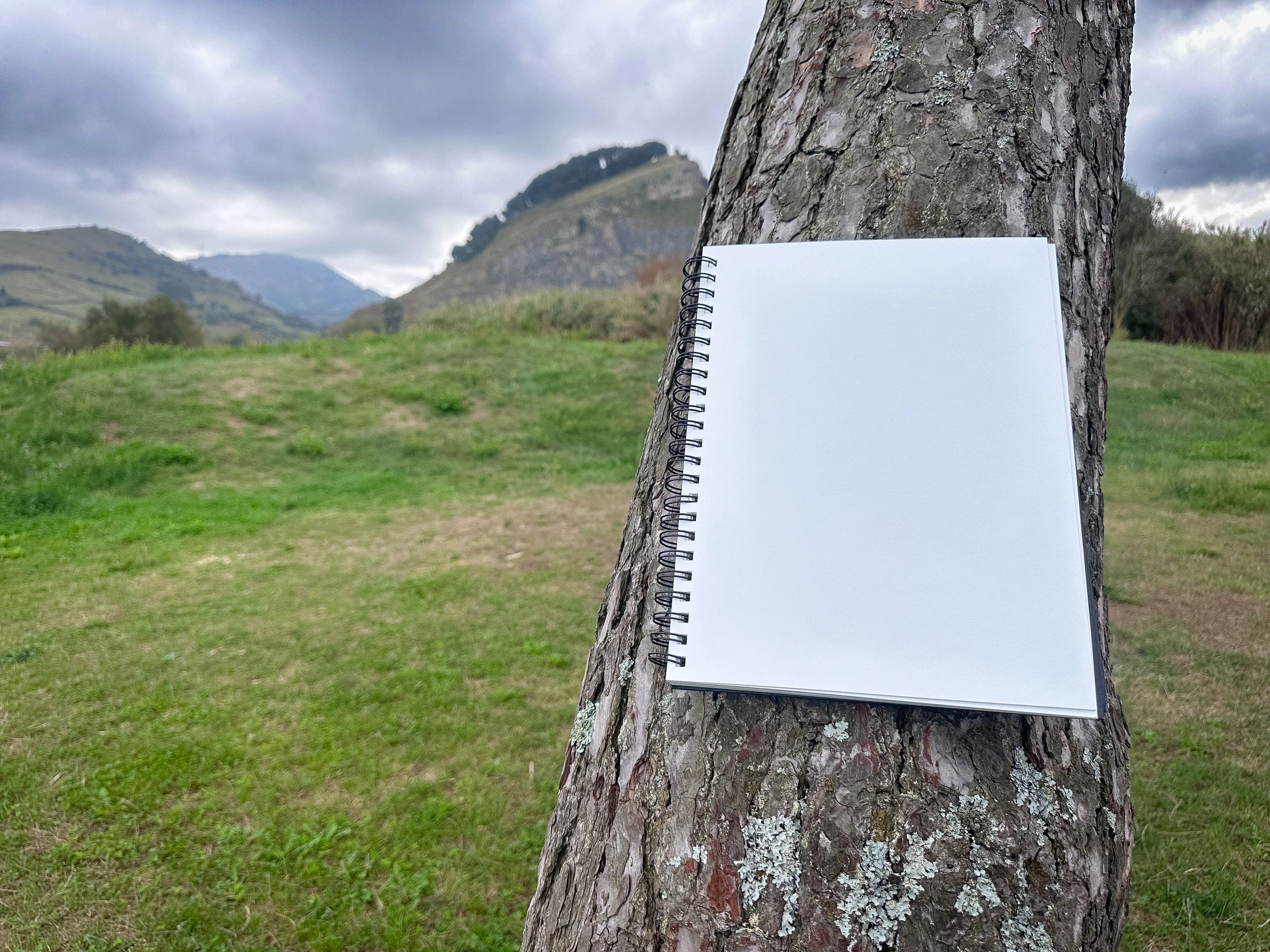 Blank sketchbook resting on a tree trunk outdoors